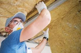 Best Wall Insulation Installation  in St Joseph, IL